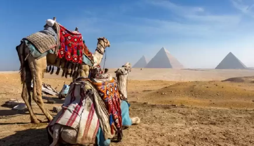 Circuit Caire Alexandrie et Sharm El-Sheikh : 10 jours en Égypte