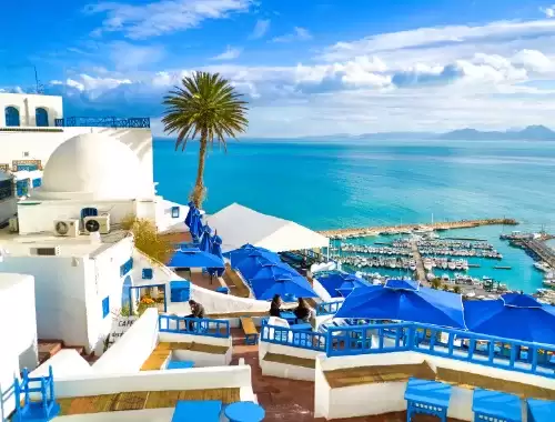Séjour Tunisie 8 jours : Tunis, Carthage et Hammamet avec vol