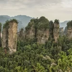 Les pitons rocheux du parc de Zhangjiajie, en Chine