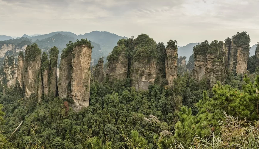 Les pitons rocheux du parc de Zhangjiajie, en Chine