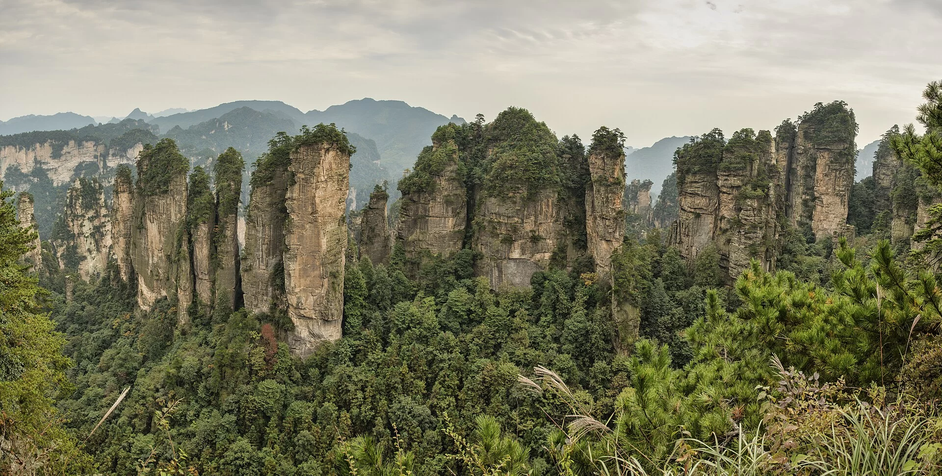 Les pitons rocheux du parc de Zhangjiajie, en Chine