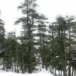 Week-end à Ifrane, Fès et Moulay Yacoub : escapade nature et bien-être