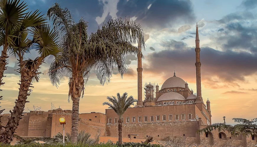 La mosquée de Mohammed Ali et les palmiers de la Citadelle du Caire