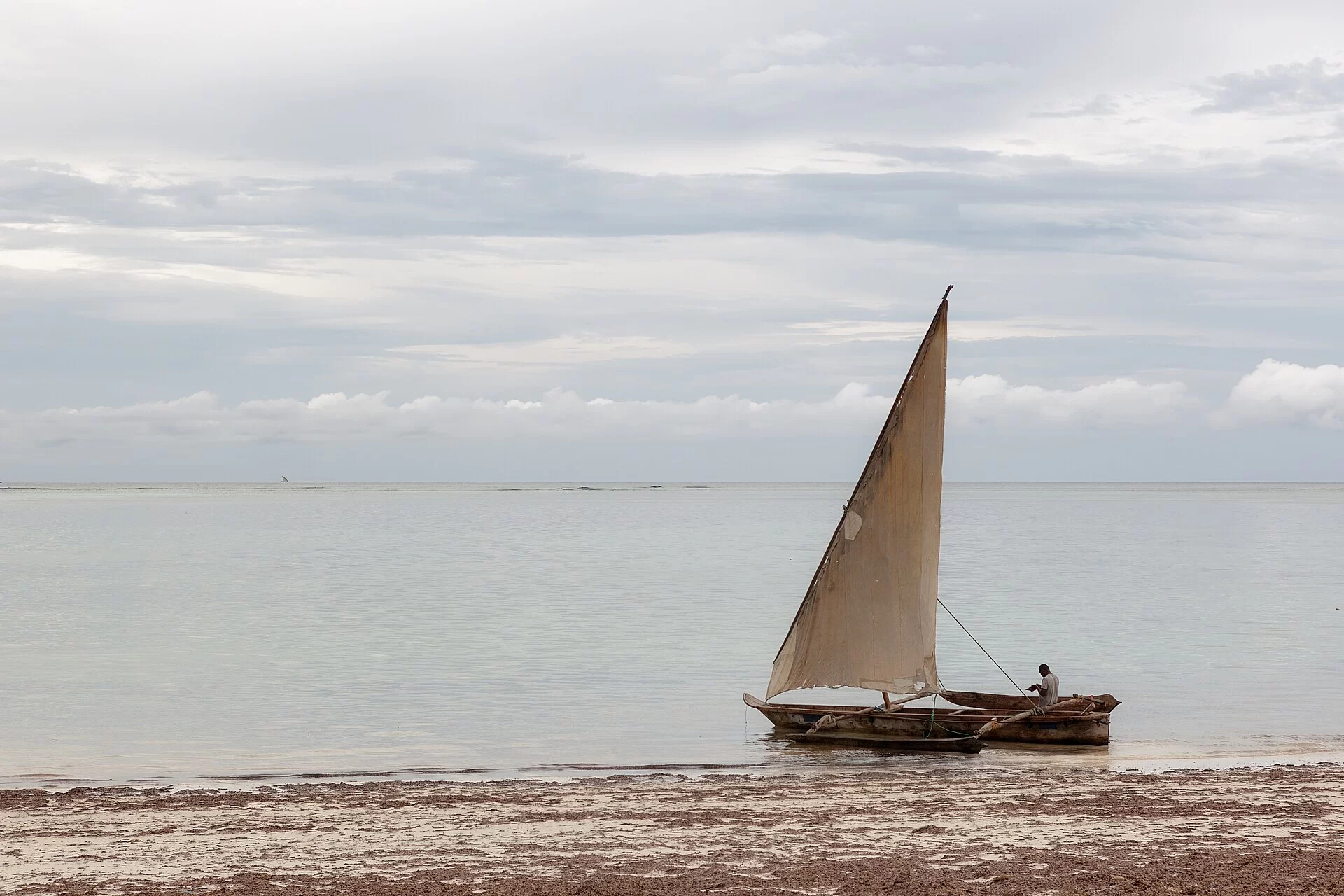 Un boutre à voile sur la mer calme de Zanzibar