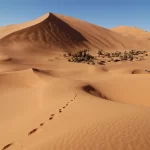 Les dunes dorées de l'erg Chebbi à Merzouga