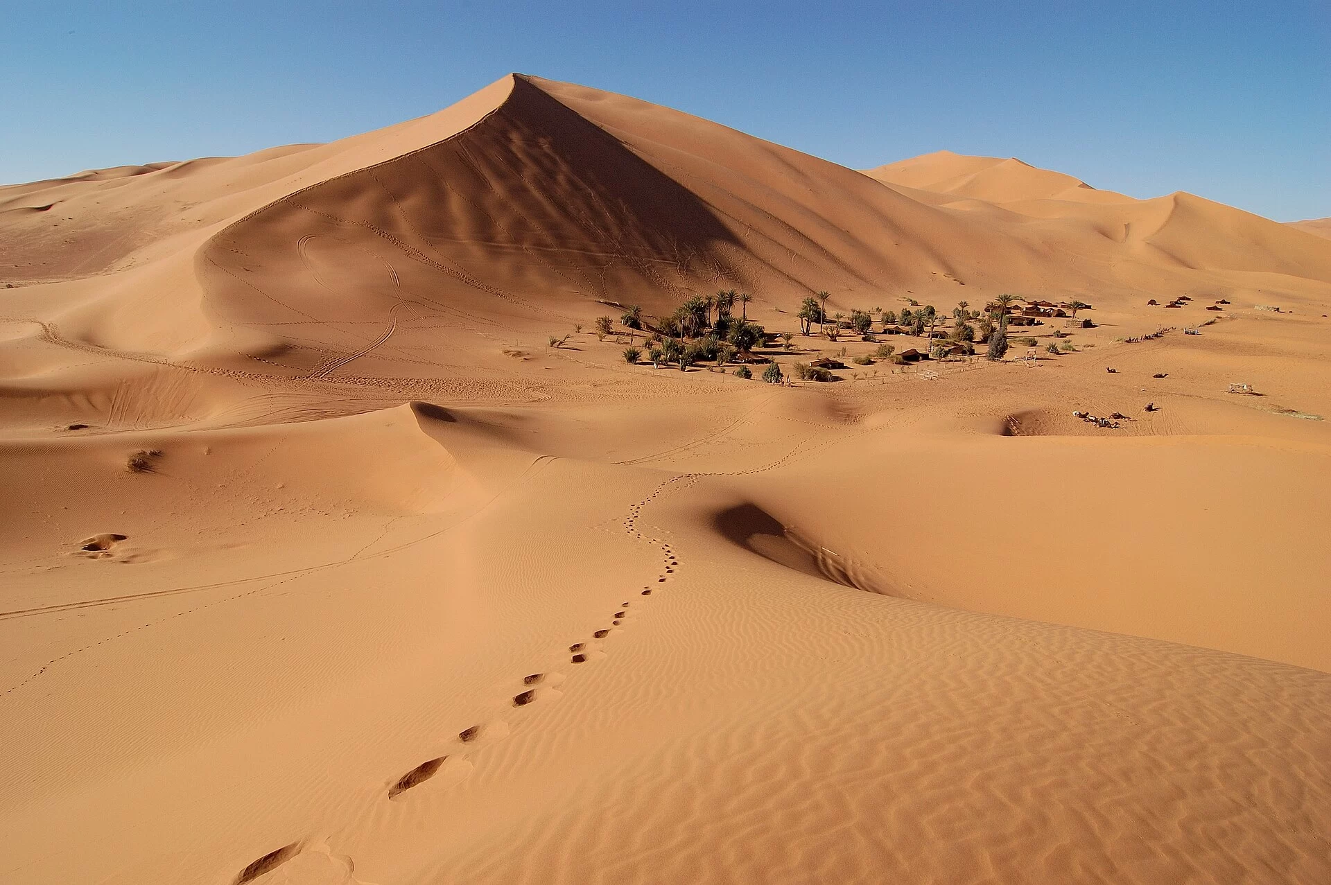 Les dunes dorées de l'erg Chebbi à Merzouga