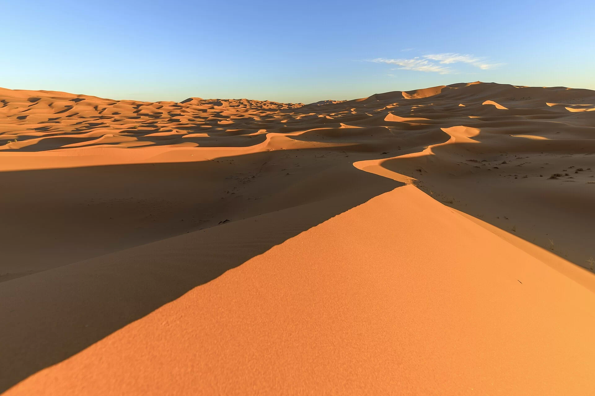 La crête d'une grande dune de l'erg Chebbi près de Merzouga