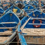 Les barques de pêche bleues serrées dans le port d'Essaouira