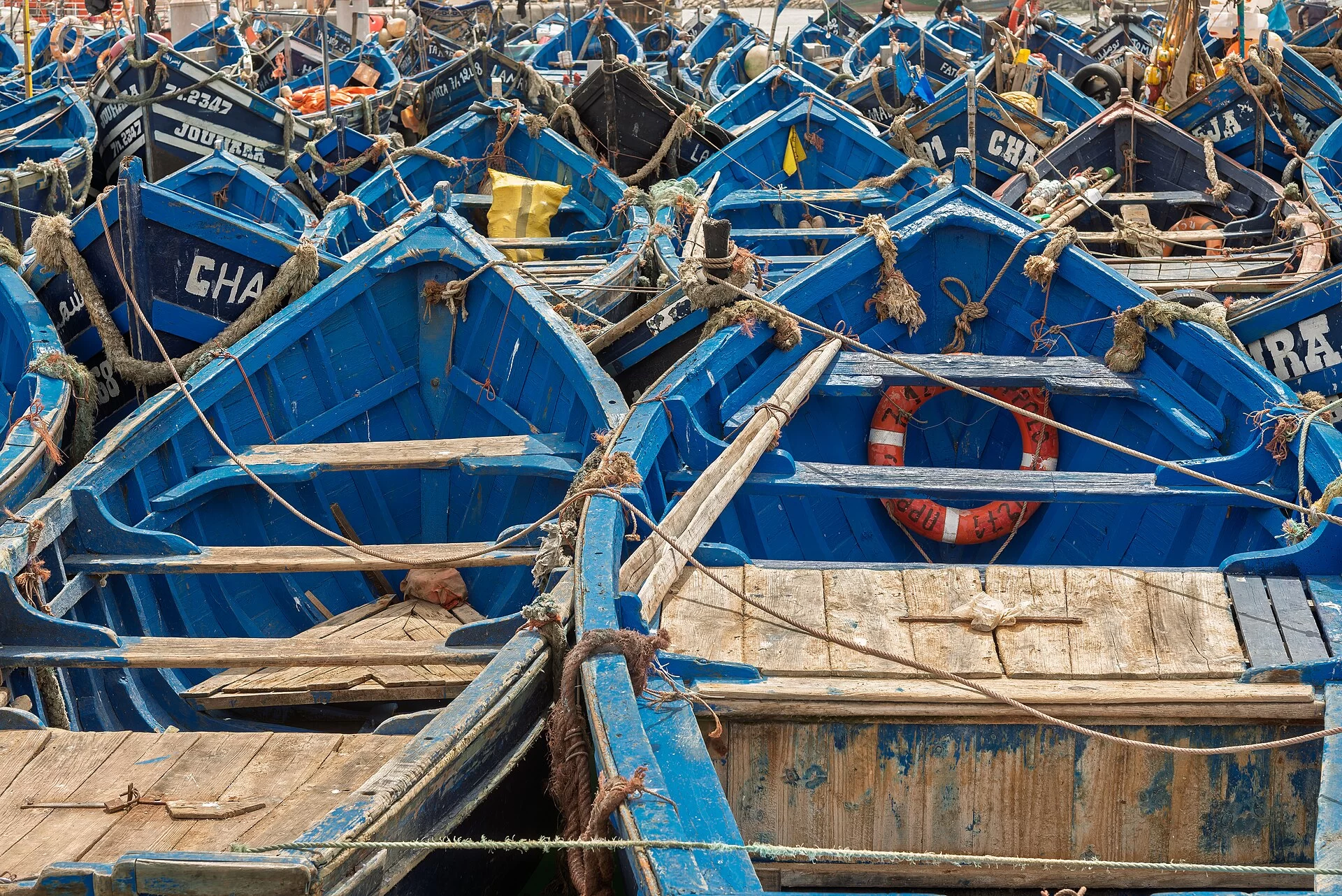 Les barques de pêche bleues serrées dans le port d'Essaouira