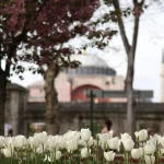 Voyage à Istanbul depuis le Maroc : durée, budget et circuits