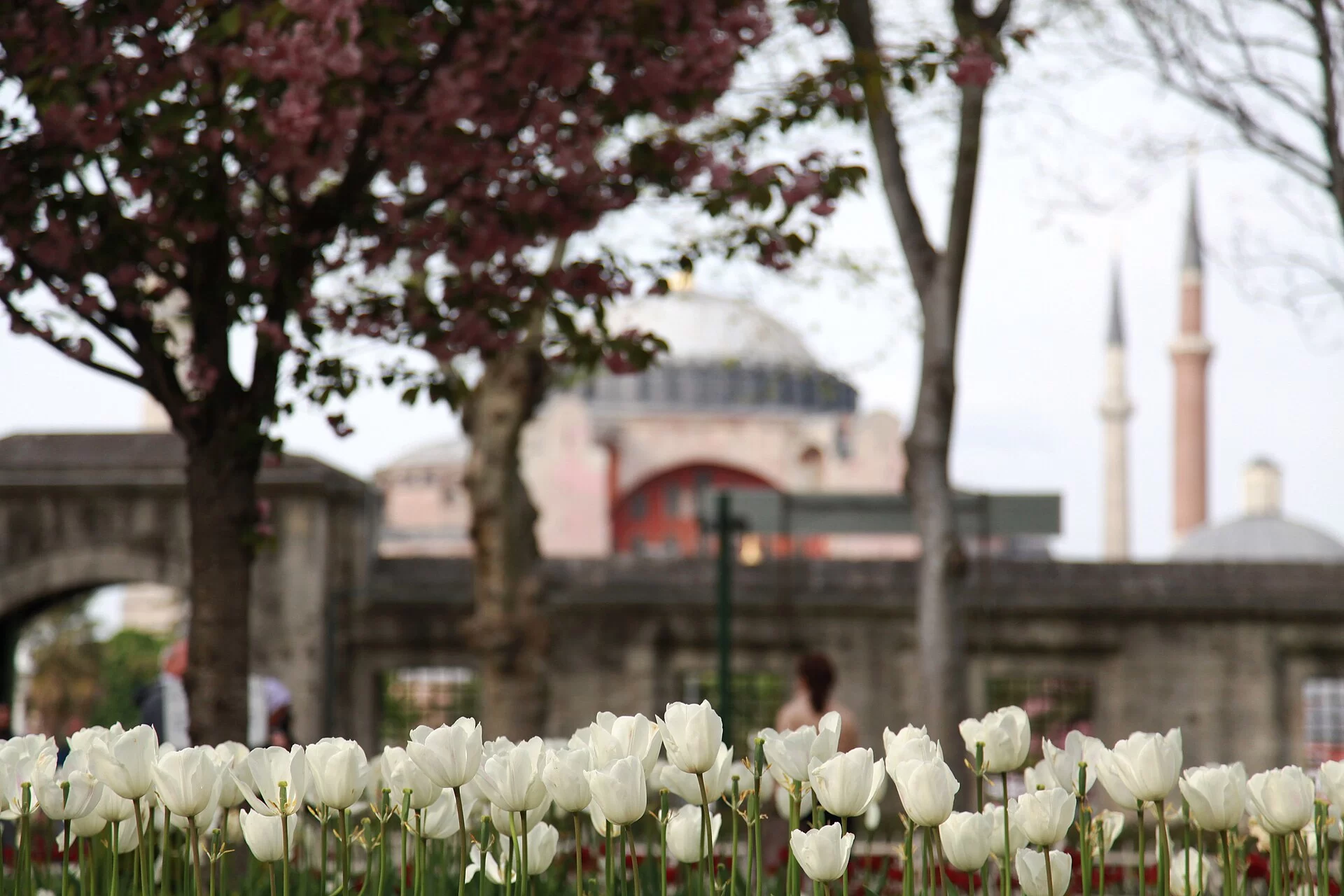 Voyage à Istanbul depuis le Maroc : durée, budget et circuits
