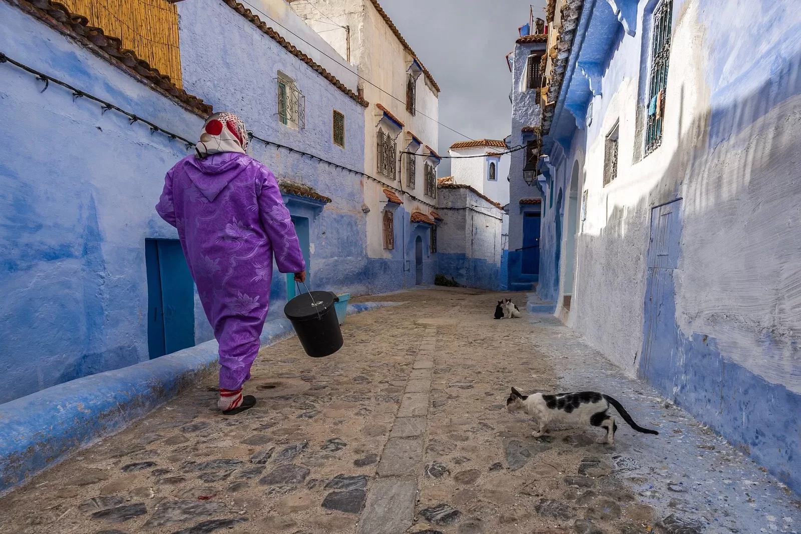 Chefchaouen : guide complet pour visiter la ville bleue du Maroc
