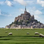 Le Mont-Saint-Michel dominant les prés salés où paissent des moutons en France