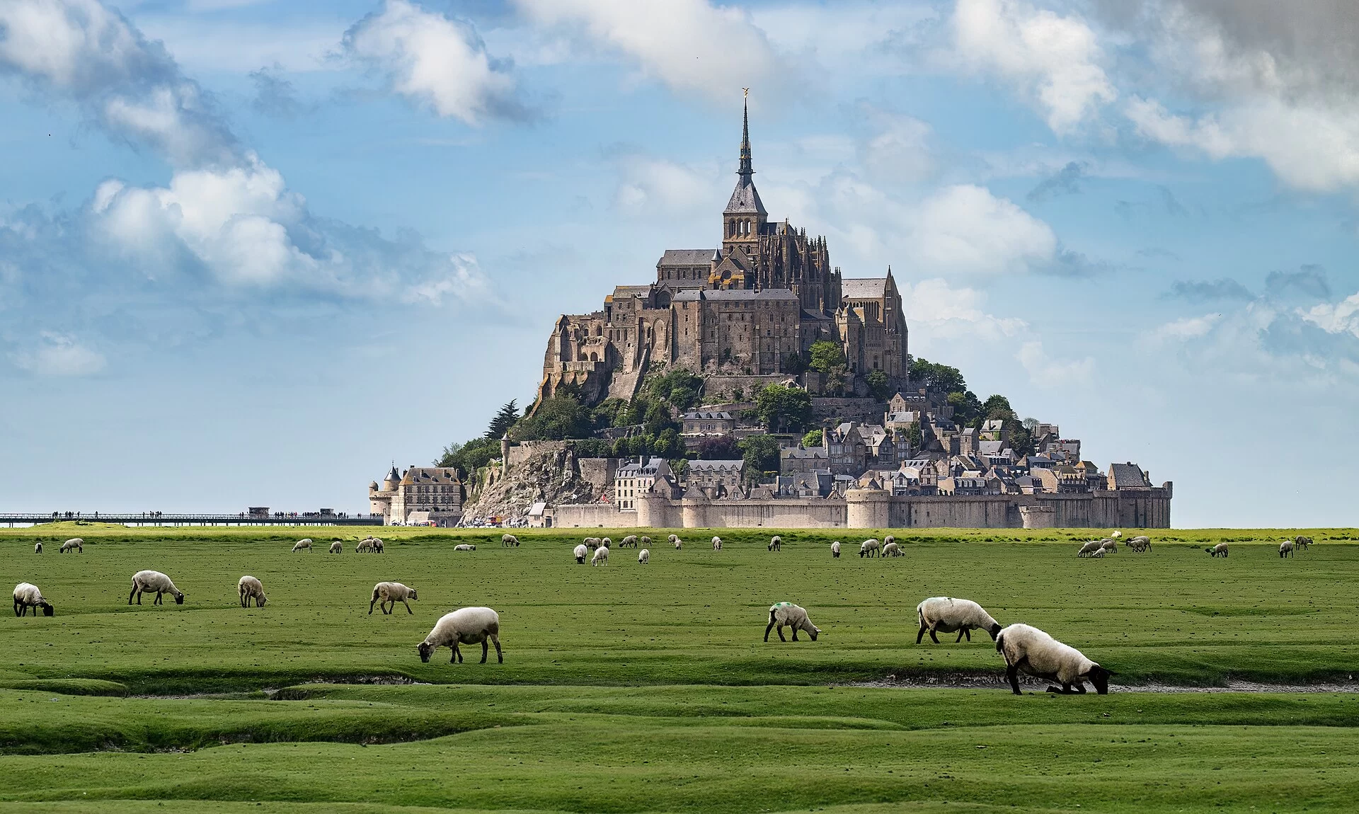 Le Mont-Saint-Michel dominant les prés salés où paissent des moutons en France