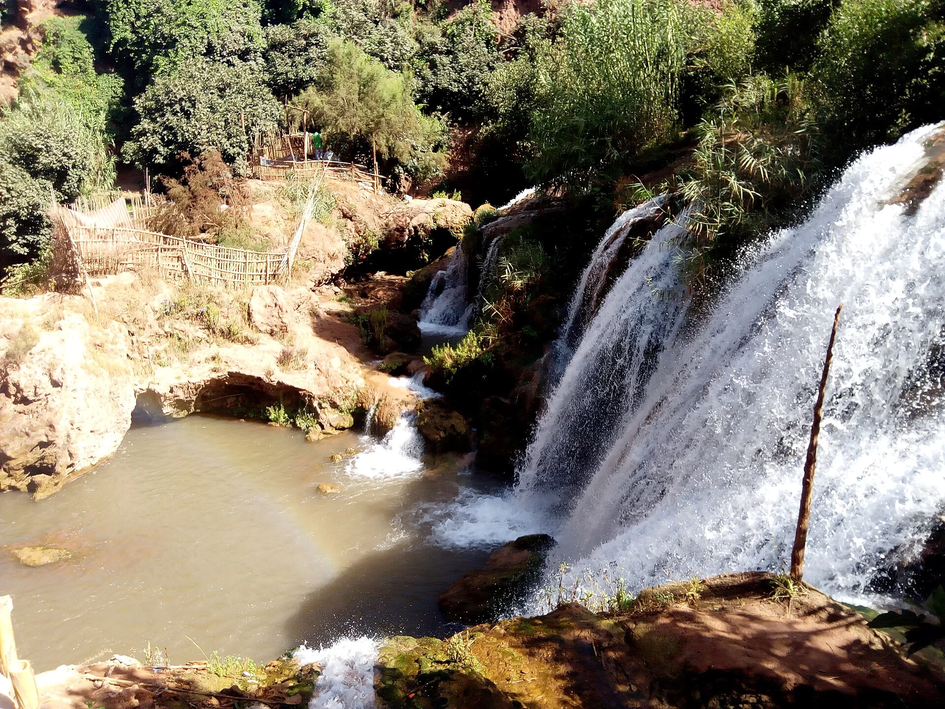 Le bassin et les cascades d'Ouzoud entourés de verdure, au Maroc