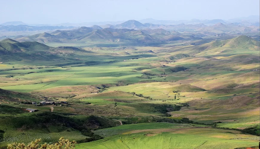 Les collines verdoyantes du Moyen Atlas autour d'Azrou