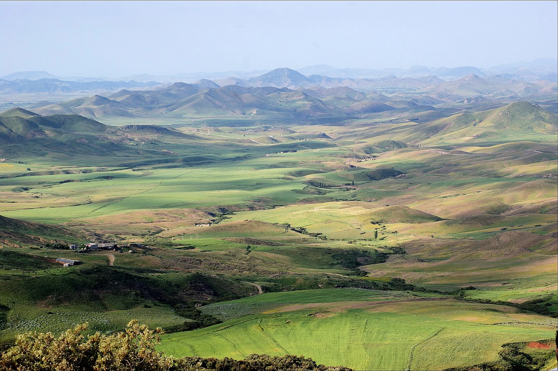 Les collines verdoyantes du Moyen Atlas autour d'Azrou