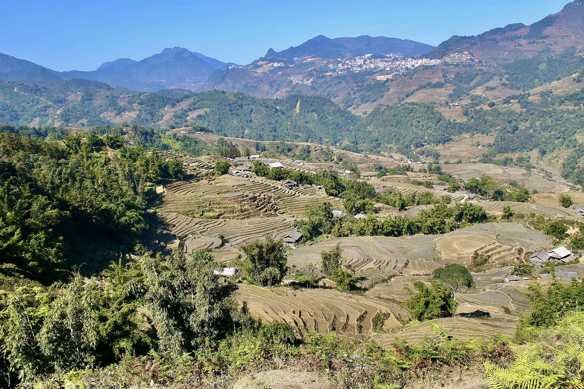 Les rizières en terrasses de Sapa