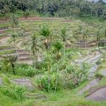 Voyage à Bali depuis le Maroc : itinéraire, budget et combinés