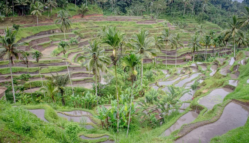 Voyage à Bali depuis le Maroc : itinéraire, budget et combinés