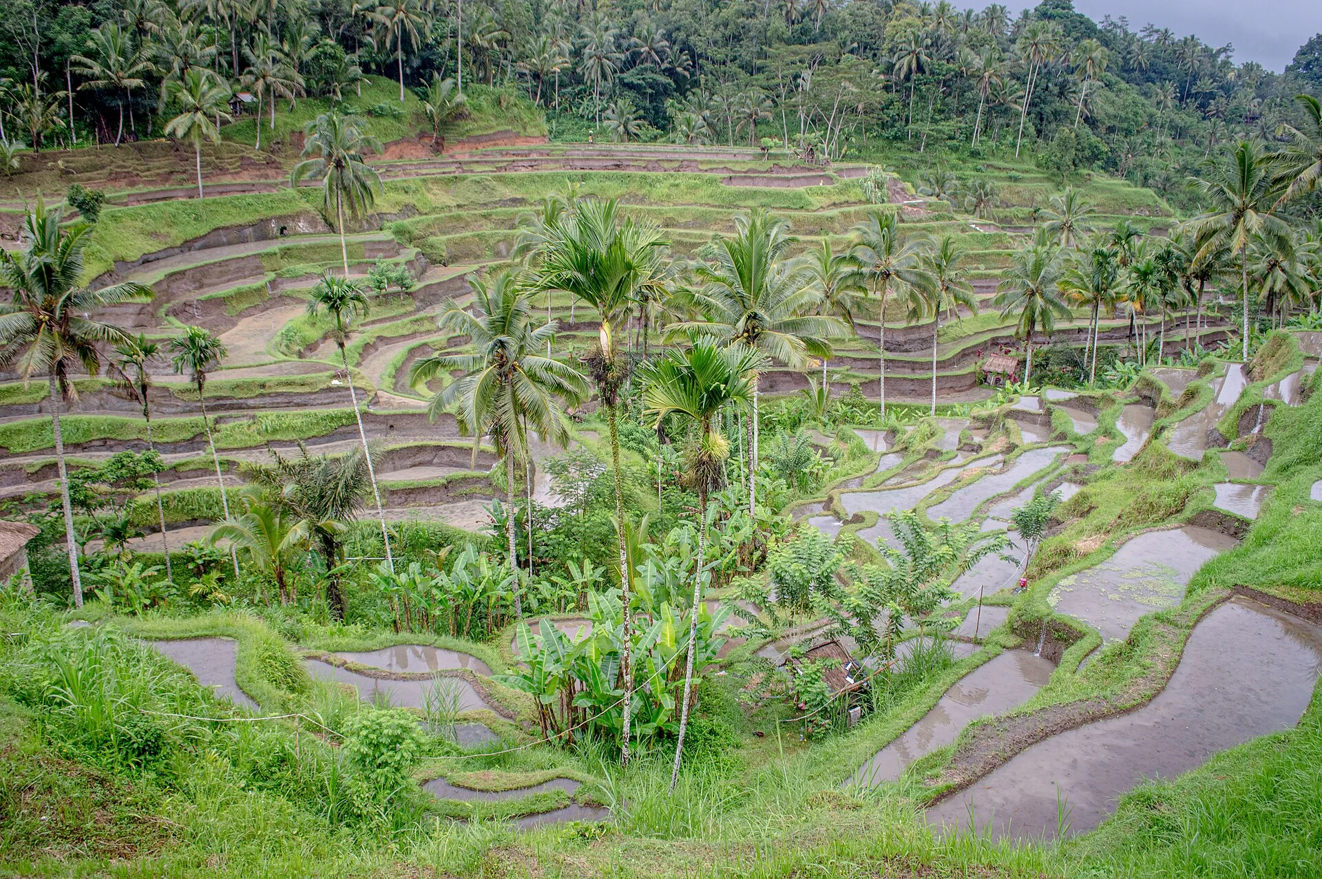 Voyage à Bali depuis le Maroc : itinéraire, budget et combinés