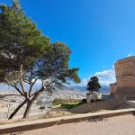 Un pin parasol dominant la ville de Tétouan