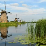 Un moulin et des nénuphars au bord d'un canal de Kinderdijk