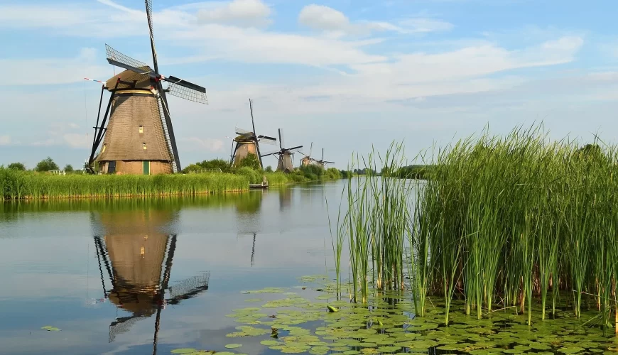 Un moulin et des nénuphars au bord d'un canal de Kinderdijk