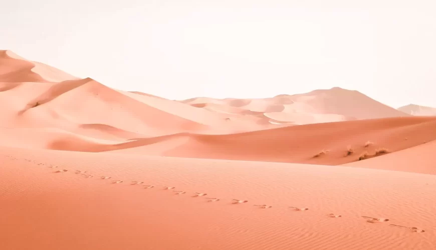 Circuit désert de Merzouga en 4 jours : Gorges du Todgha, Ouarzazate, Marrakech