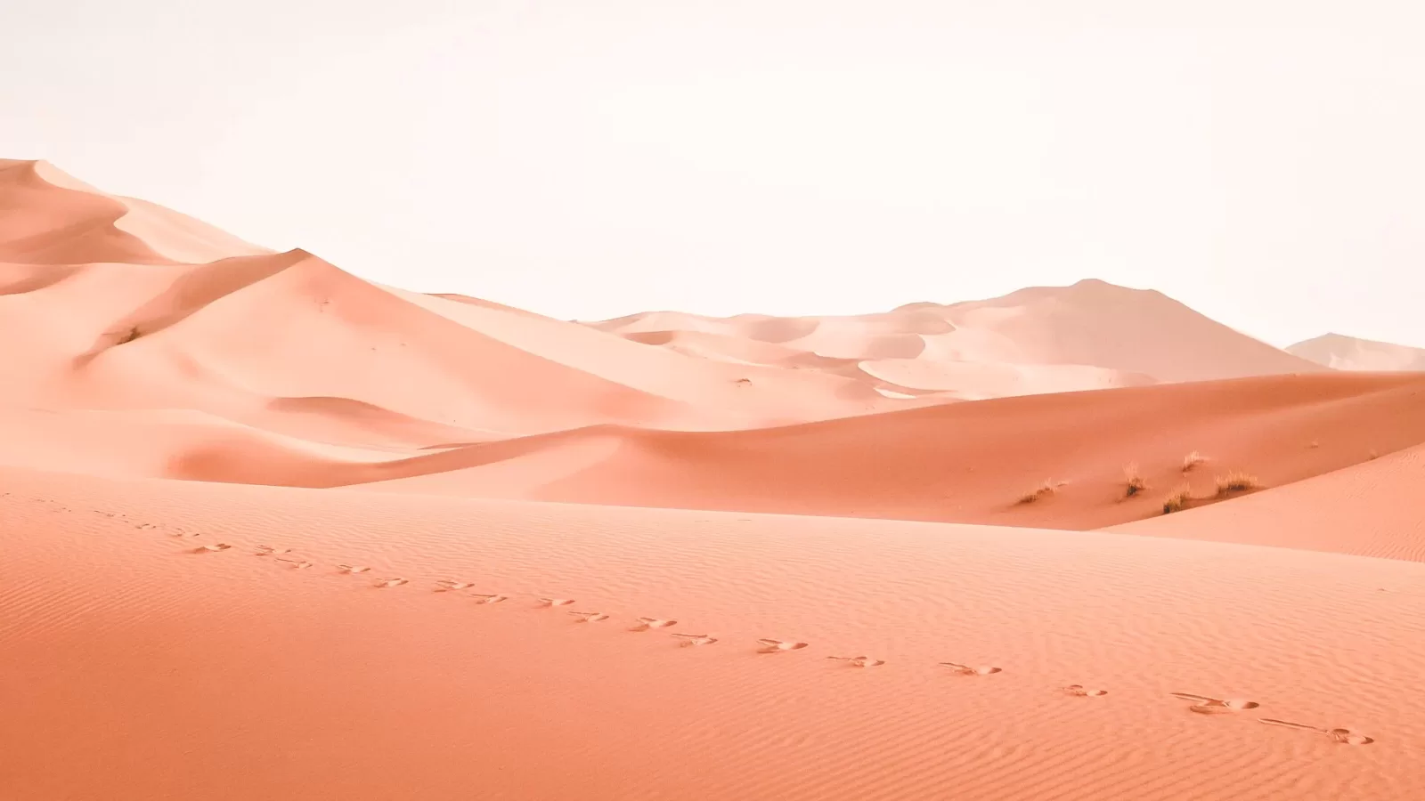 Circuit désert de Merzouga en 4 jours : Gorges du Todgha, Ouarzazate, Marrakech