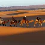 Des méharistes à dos de dromadaire sur les dunes au coucher du soleil