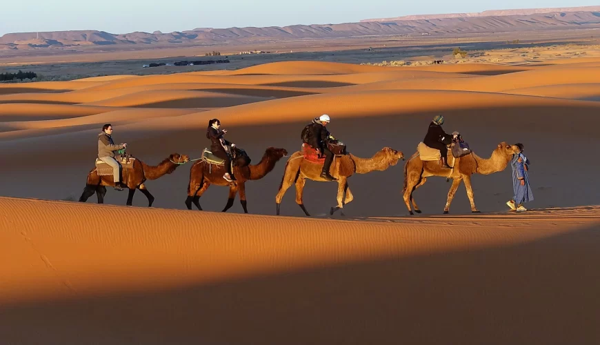 Des méharistes à dos de dromadaire sur les dunes au coucher du soleil