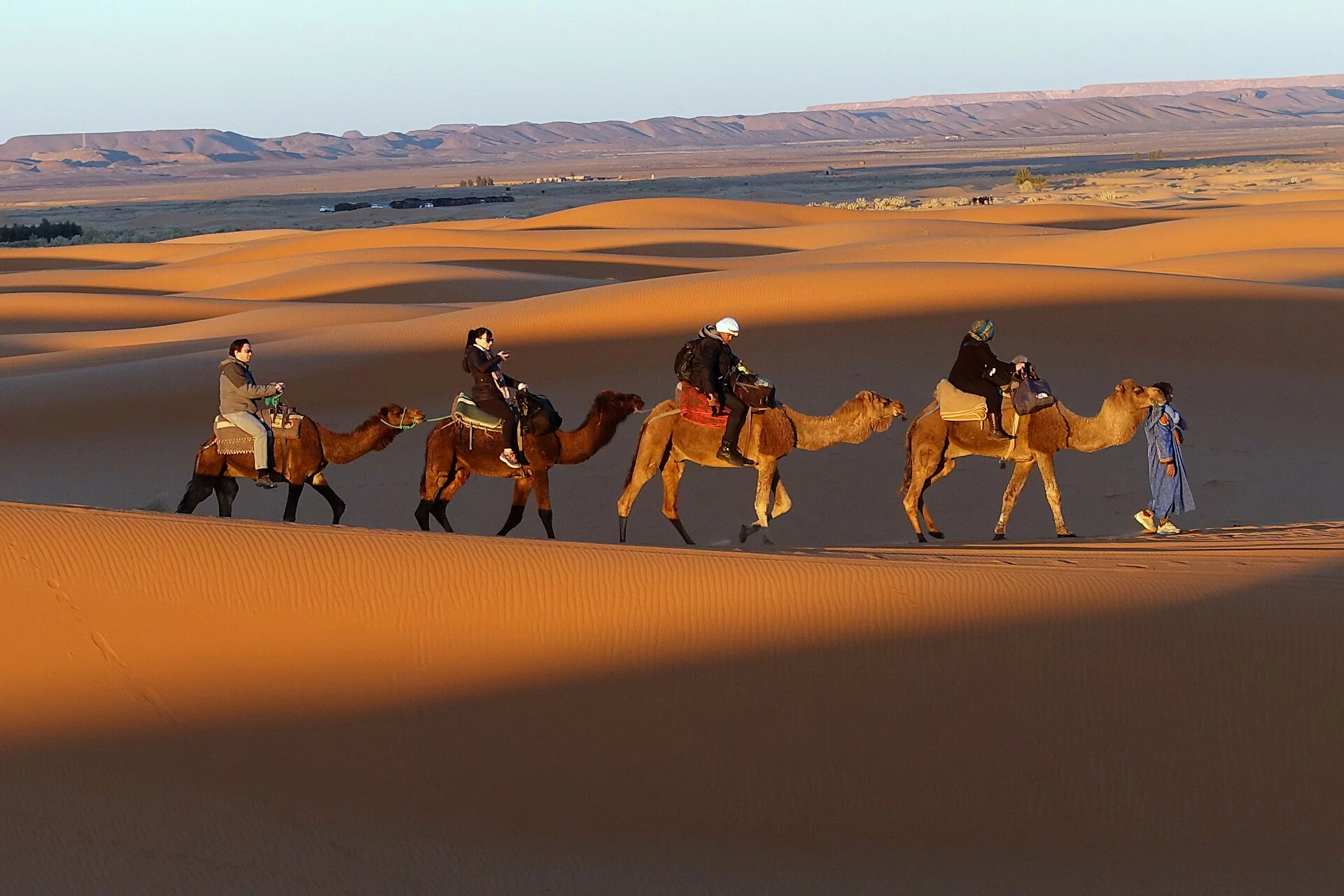 Des méharistes à dos de dromadaire sur les dunes au coucher du soleil