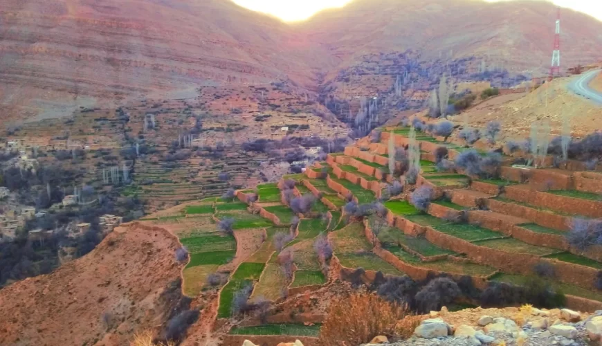 Les terrasses cultivées d'une vallée du Moyen Atlas, au Maroc