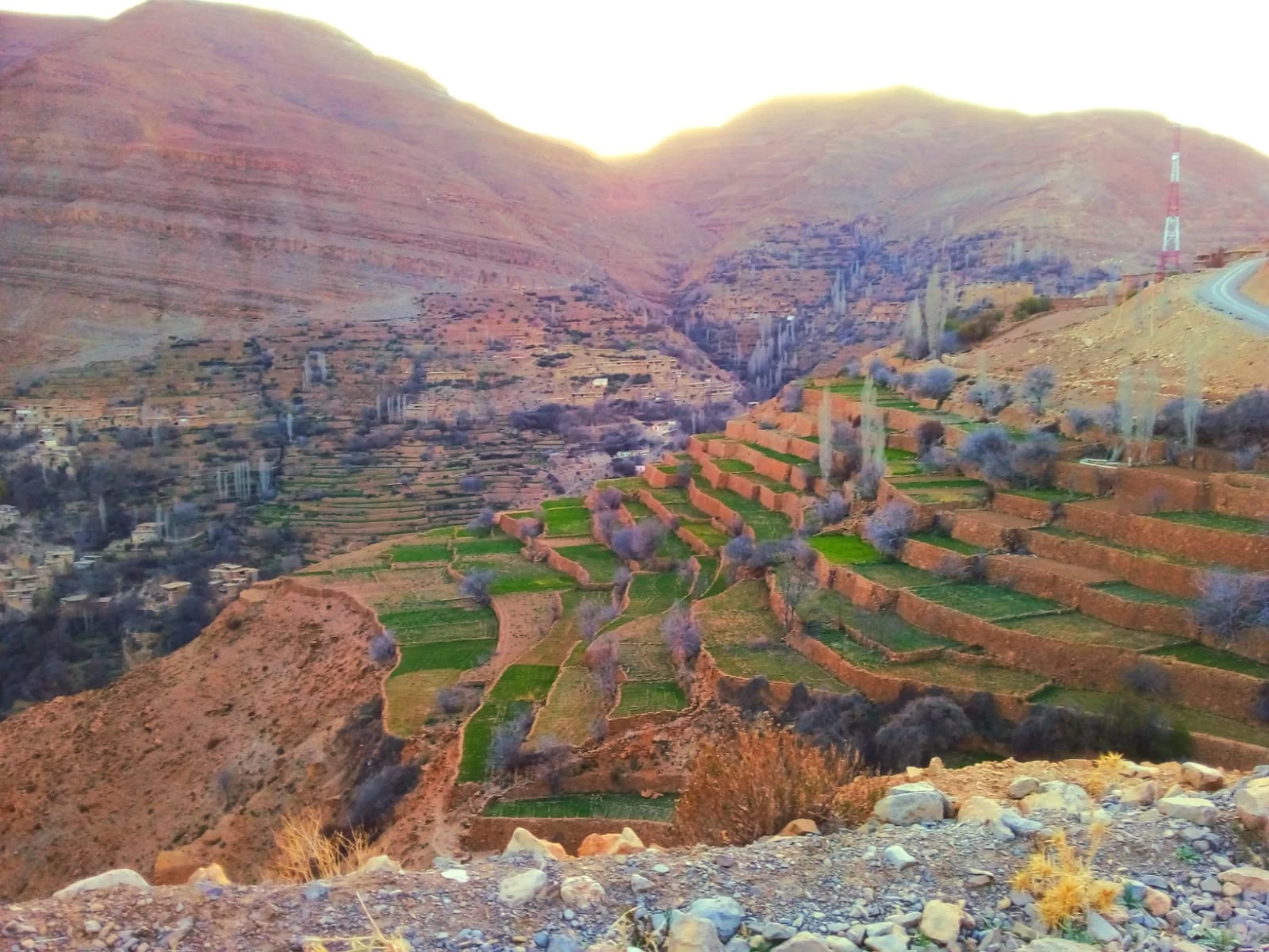 Les terrasses cultivées d'une vallée du Moyen Atlas, au Maroc
