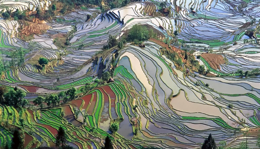 Les rizières en terrasses de Yuanyang, dans le Yunnan, en Chine